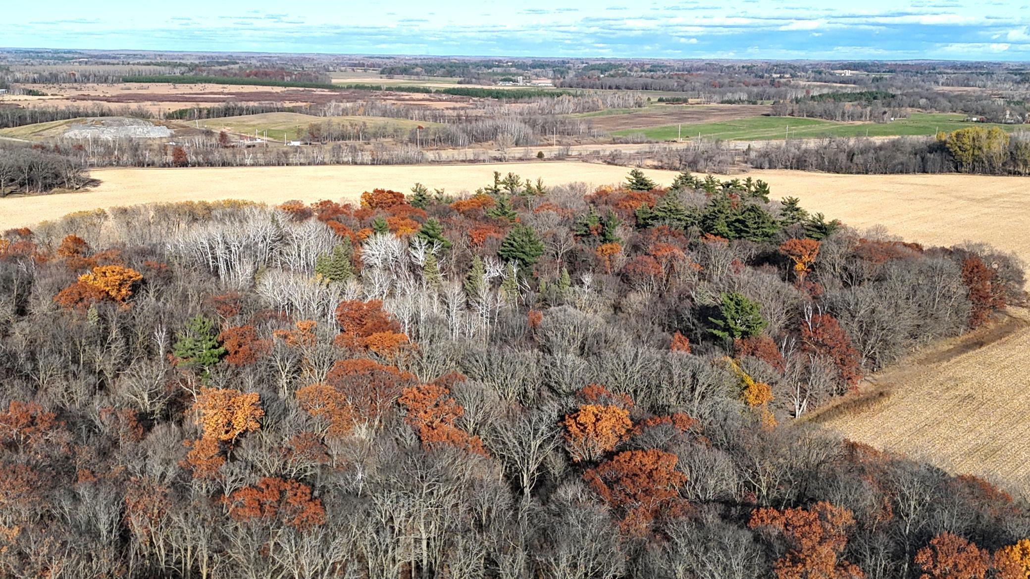 DJI_20251029161030_0169_D.JPG