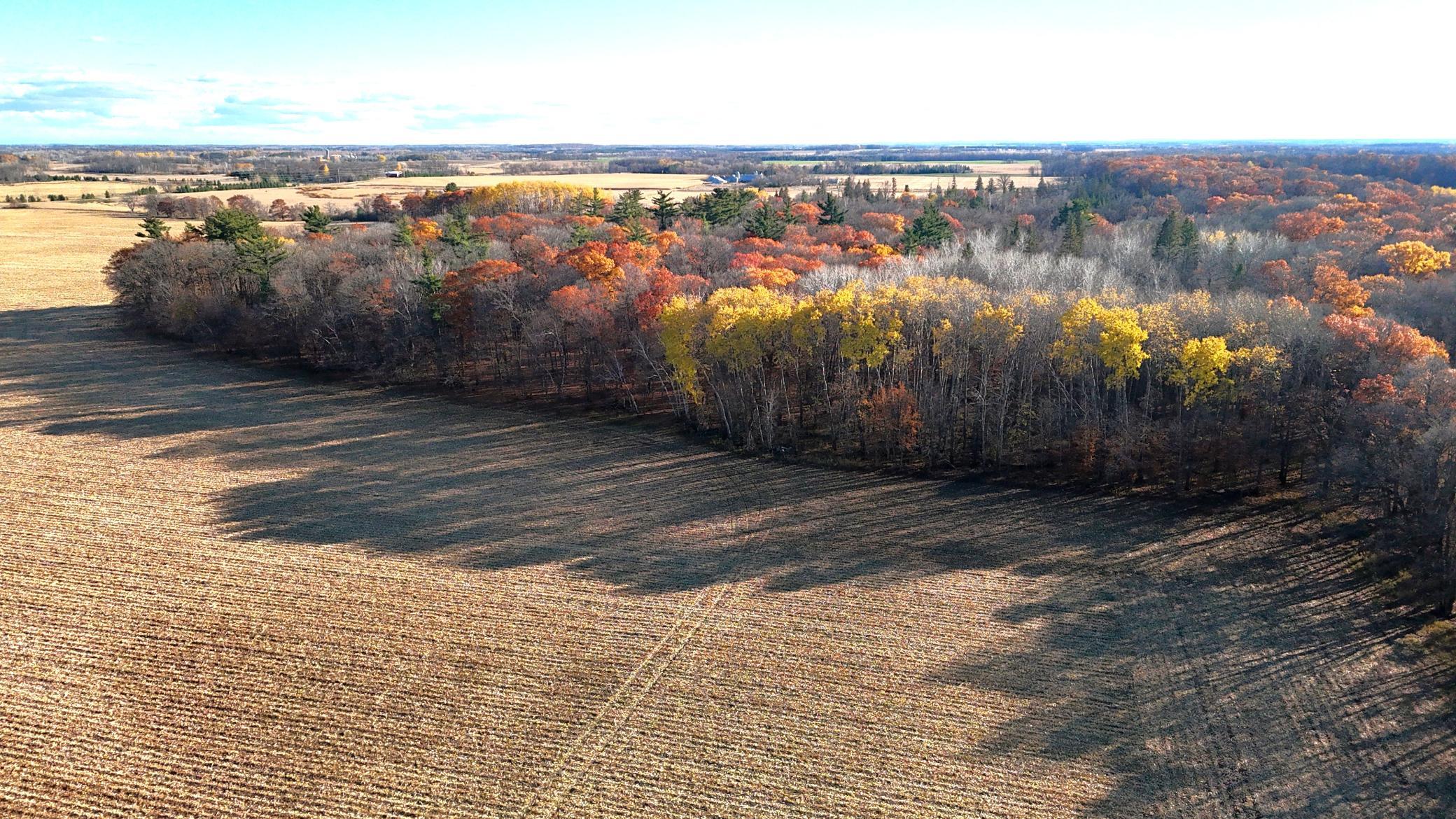 DJI_20251029160901_0166_D.JPG