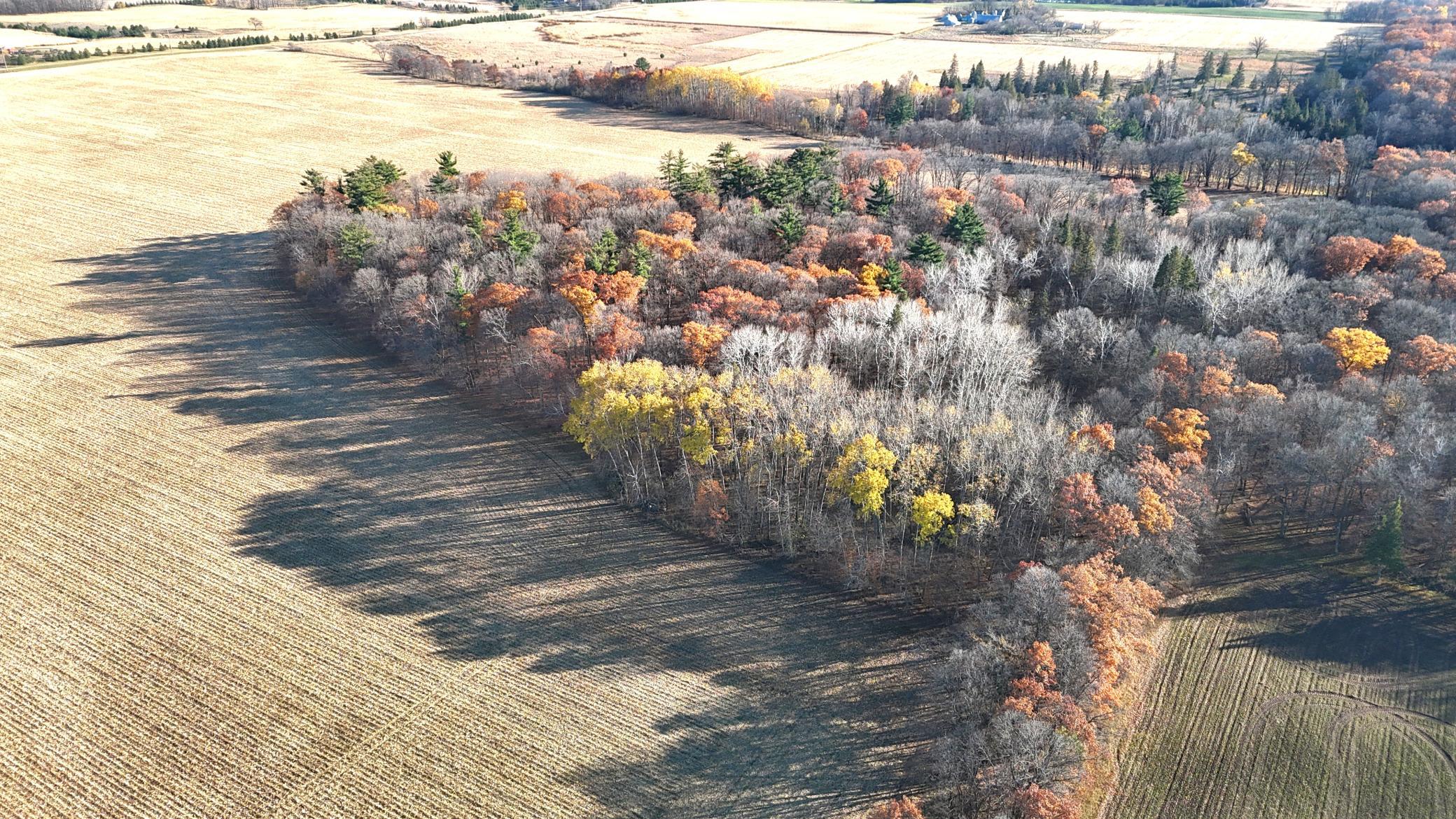DJI_20251029160522_0165_D.JPG