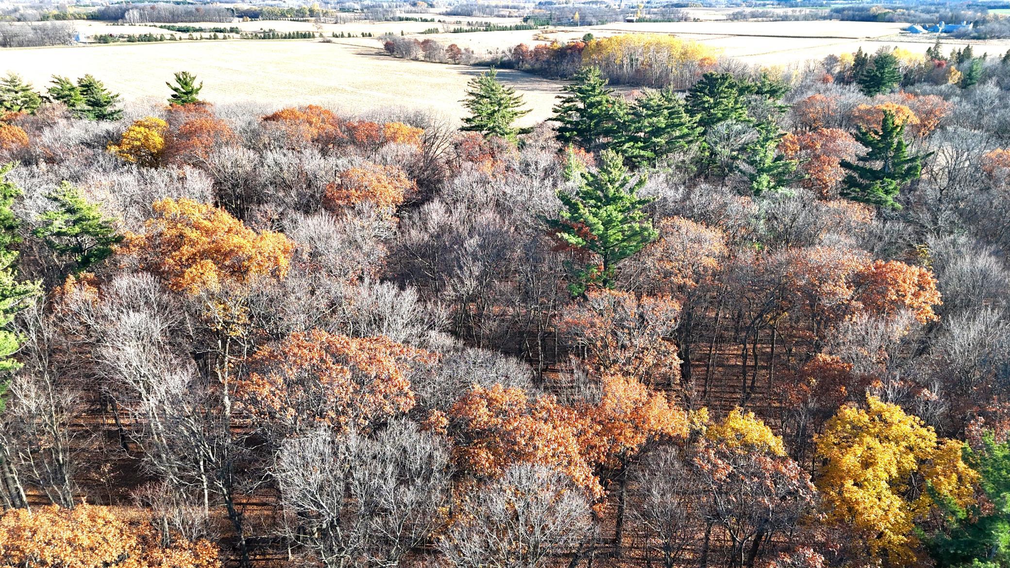 DJI_20251029160925_0167_D.JPG