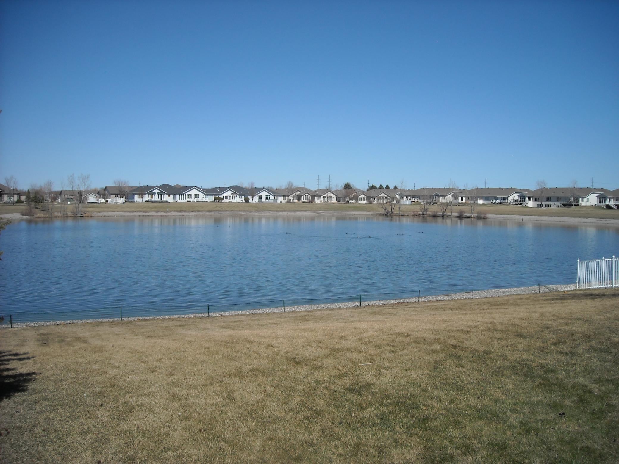 Pond