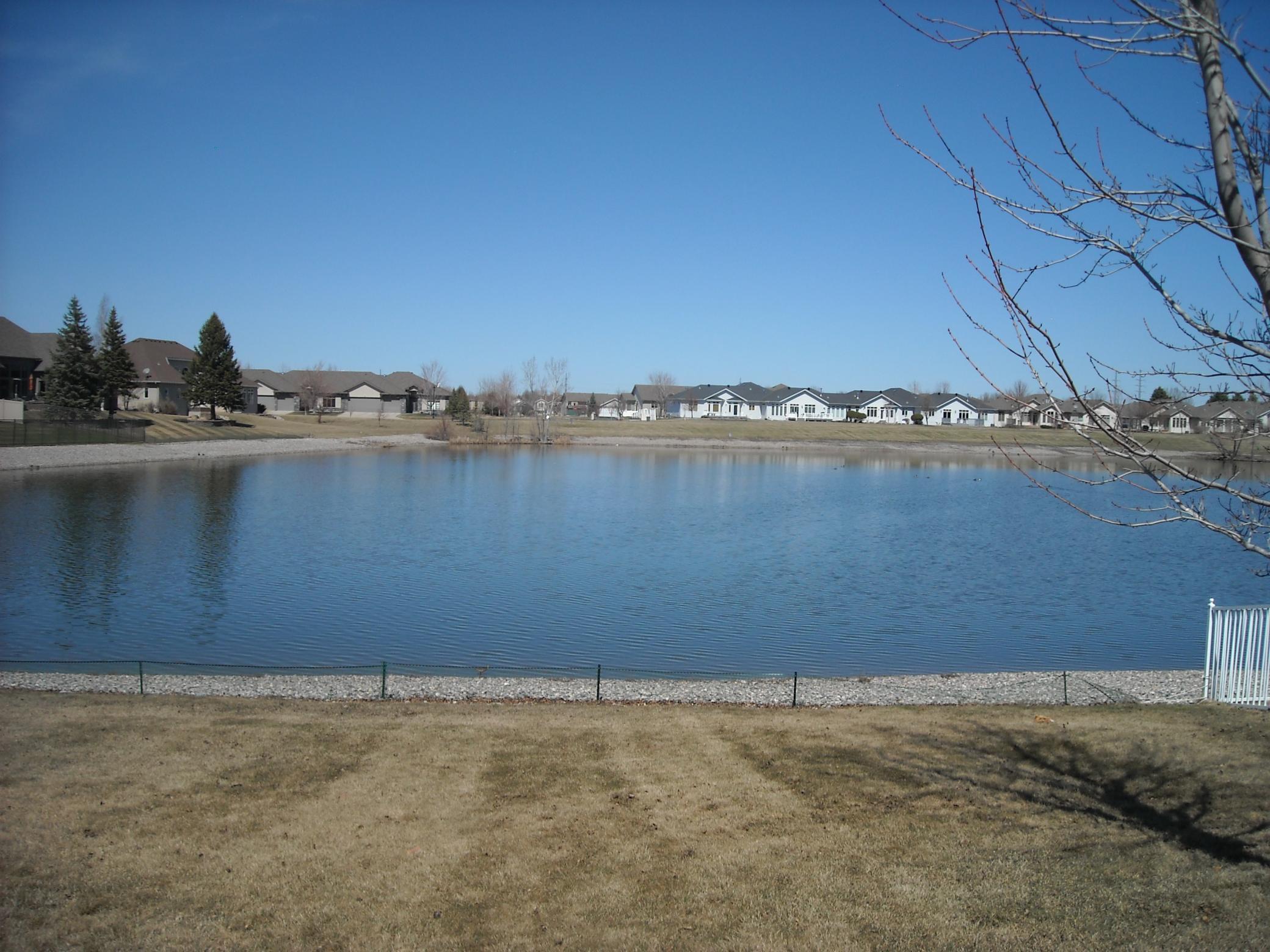 pond