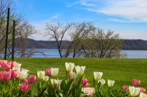 1501 1st Street, 30, Pepin, WI 54759