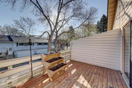 11106 Xavier Deck.jpg