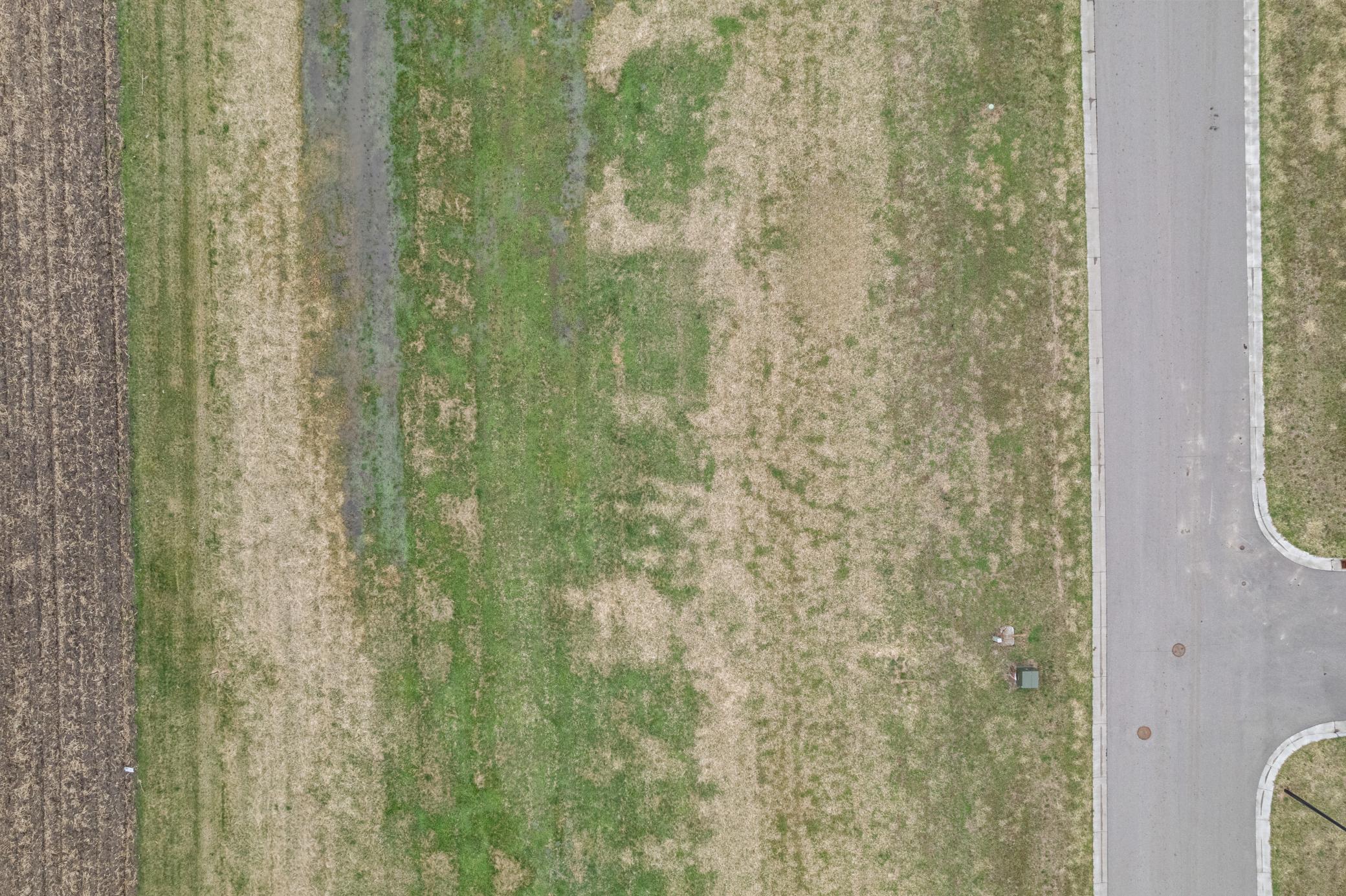 Pheasant Run Lot (7).jpg