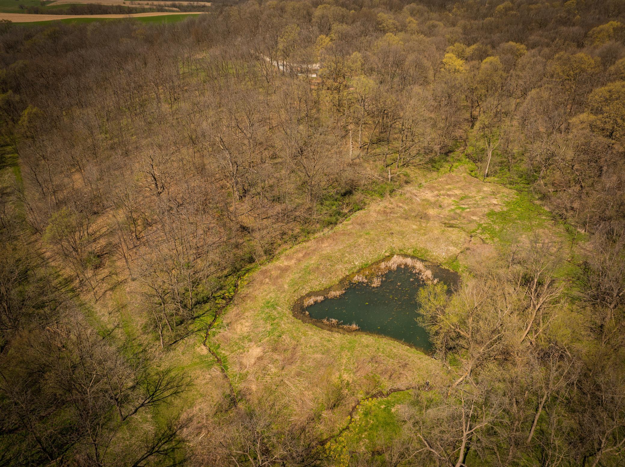 DJI_20260421115003_0019_D-2.jpeg