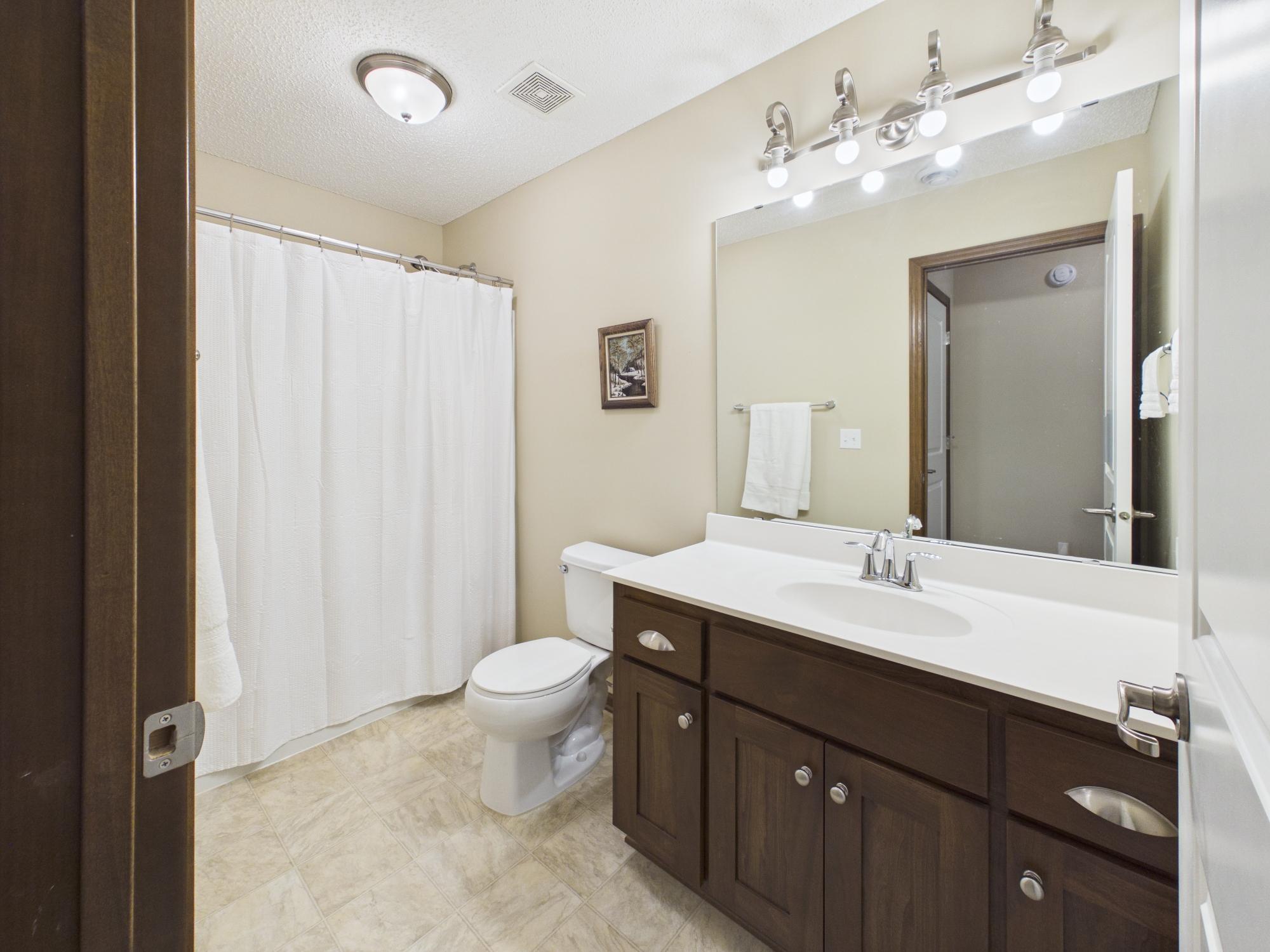 10697 Kingsfield Lane - Lower Level Bathroom