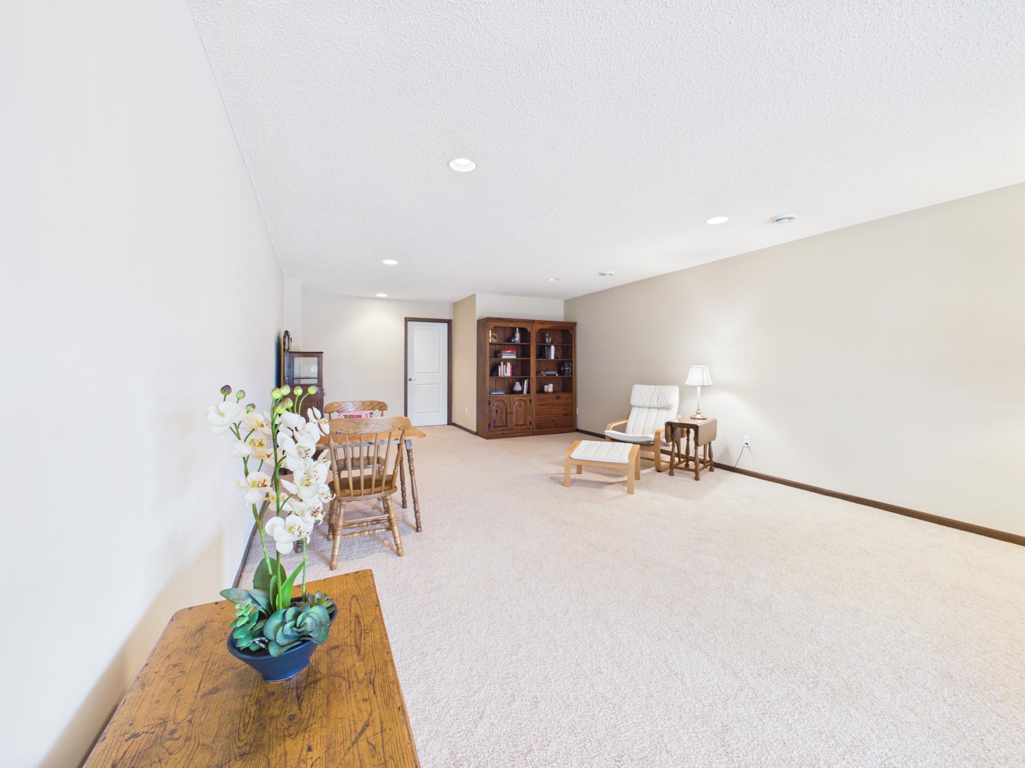10697 Kingsfield Lane - Lower Level