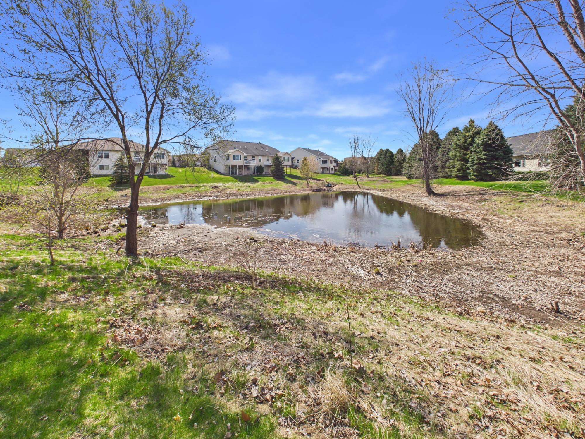 10697 Kingsfield Lane- Pond View