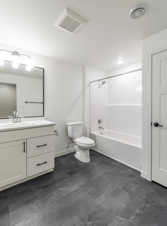 Lower Level Bathroom