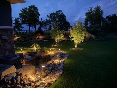 Meticulous yard