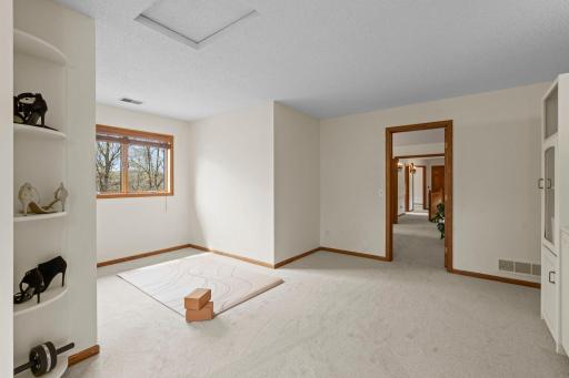 Ideal space for a lounge, office, personal retreat or fitness space.