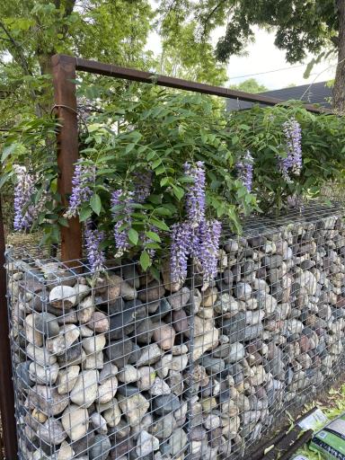 Beautifully landscaped outdoor space with custom stone walls and mature wisteria, creating a unique and inviting setting.