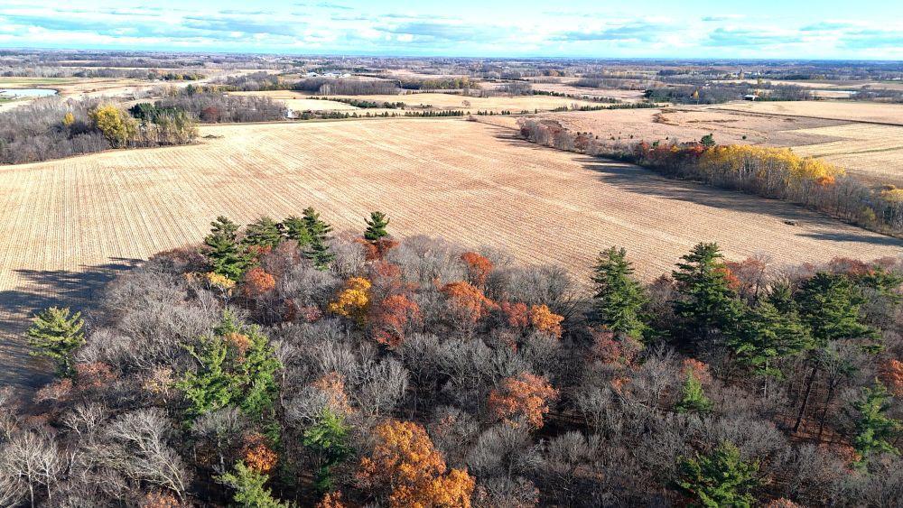 DJI_20251029161147_0174_D.JPG