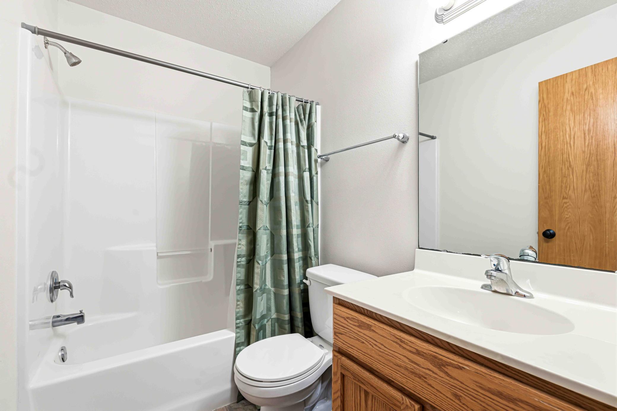Lower Level Bathroom