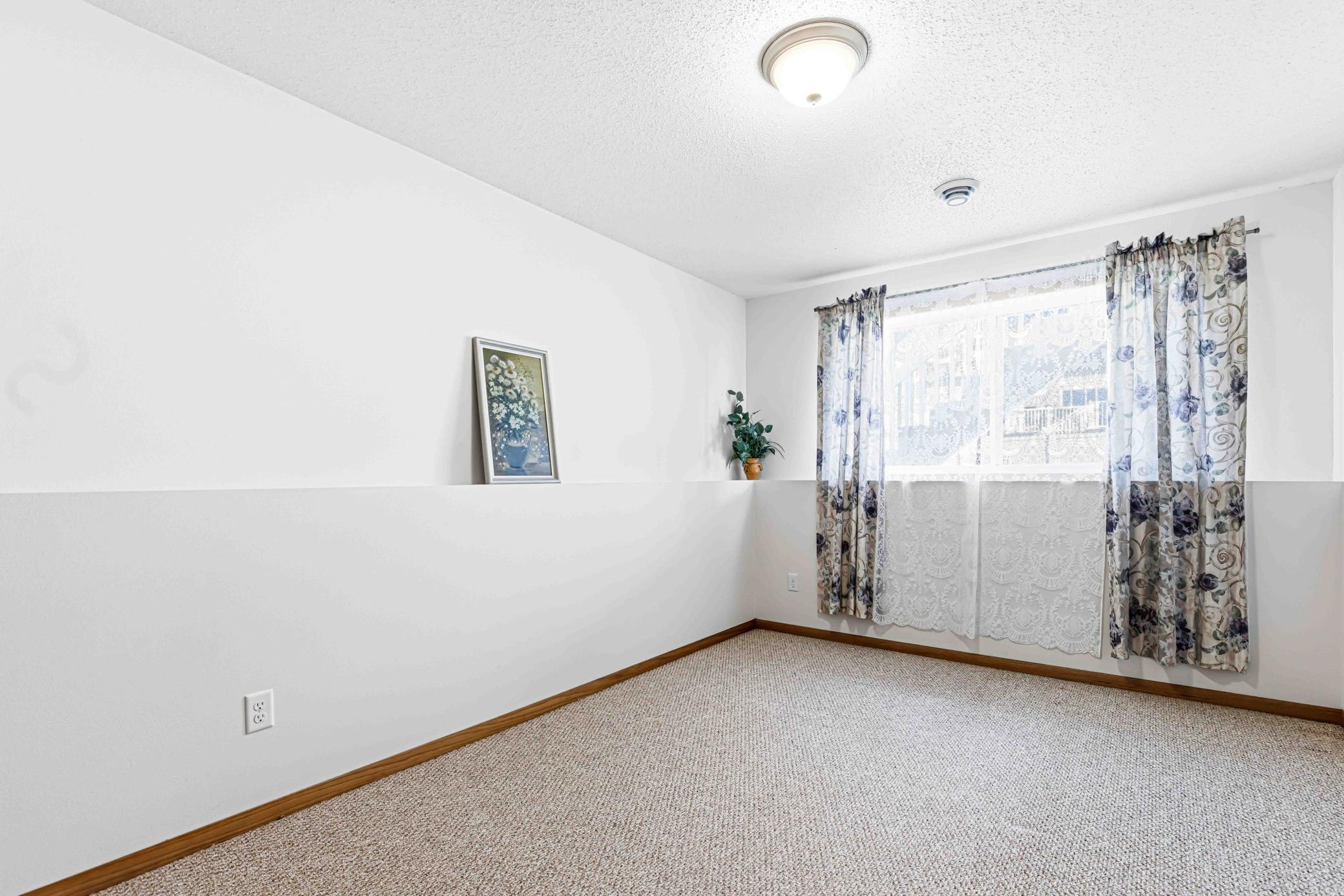 Lower Level Bedroom