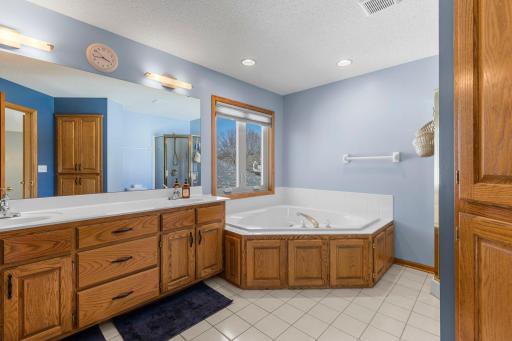 Luxurious primary bathroom suite with separate jacuzzi tub and shower, and double sinks!