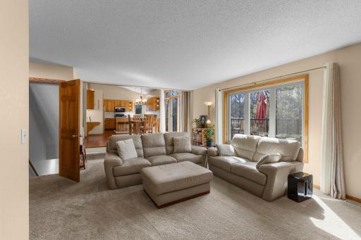 Light and bright family room with newer plush carpeting!