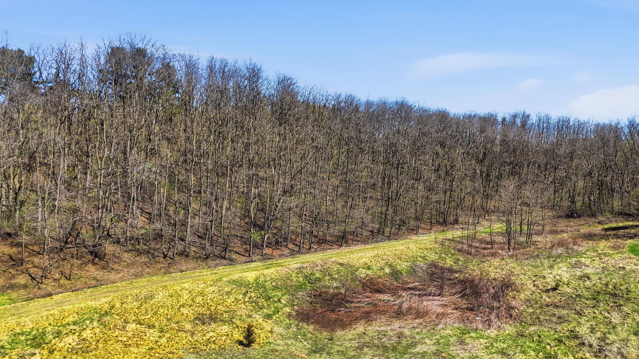 Electric and Gas are available and connected