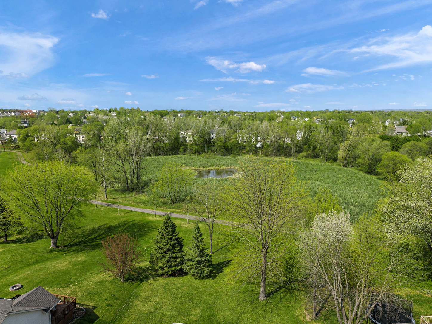 view of open spaces from back of home.png