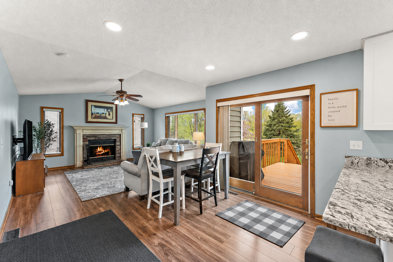 Vaulted Family Room