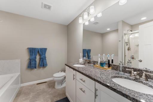 4312 Blakewood Drive, Shakopee, MN 55379