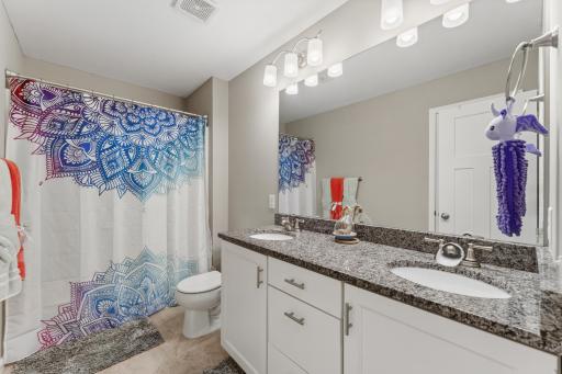 4312 Blakewood Drive, Shakopee, MN 55379