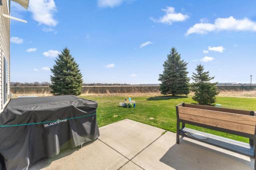 4312 Blakewood Drive, Shakopee, MN 55379