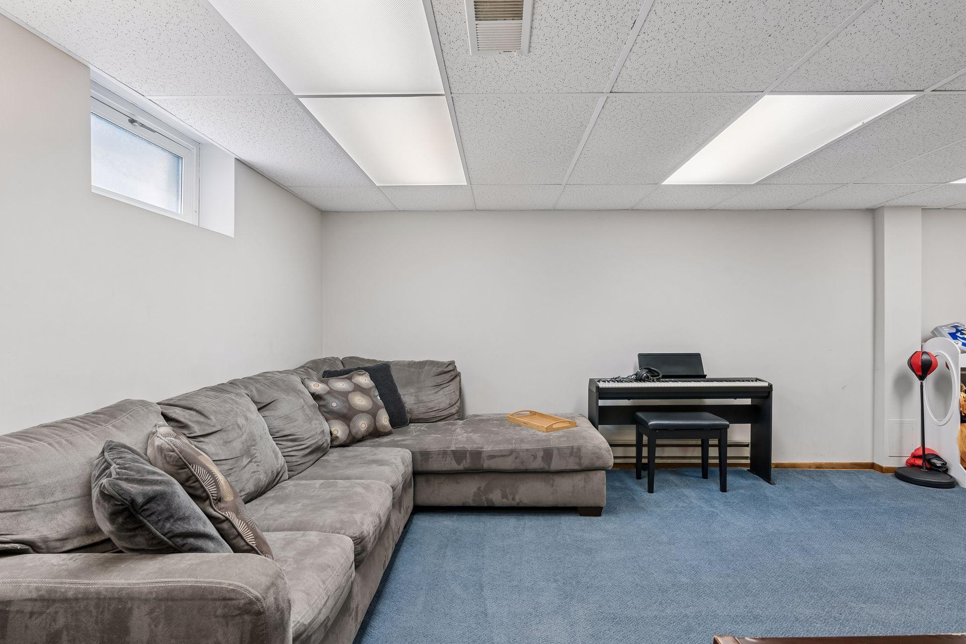 Lower level family room