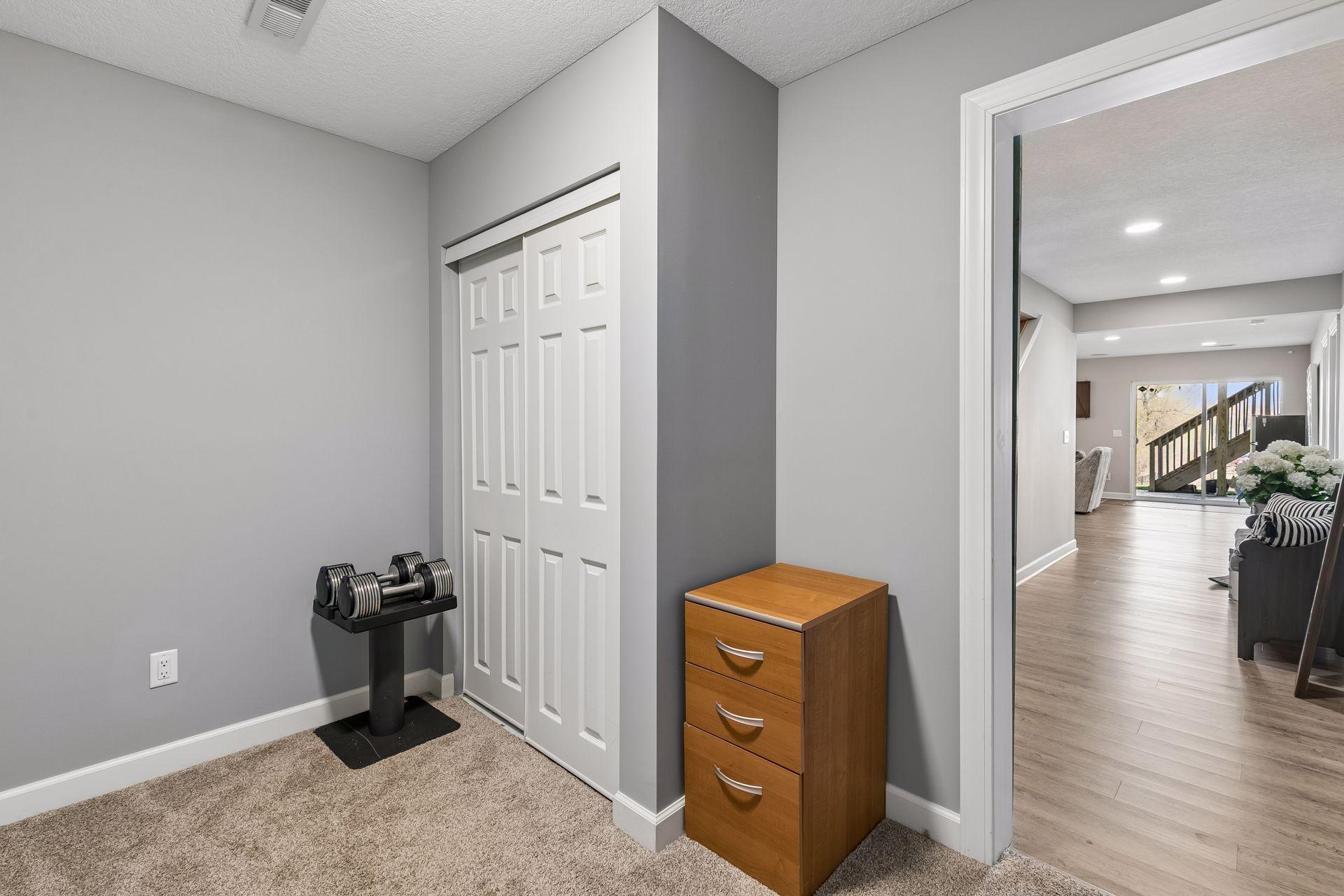 Lower Level Flex Room