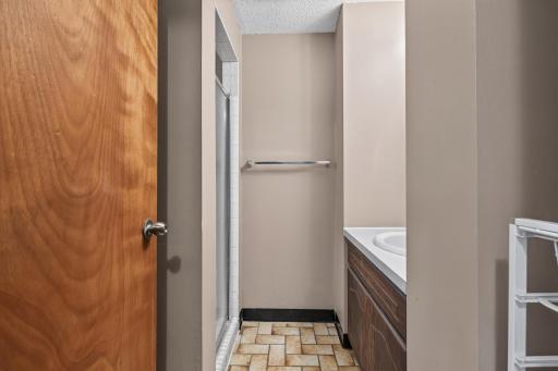 Lower level bathroom is spacious and convenient to lower bedroom.