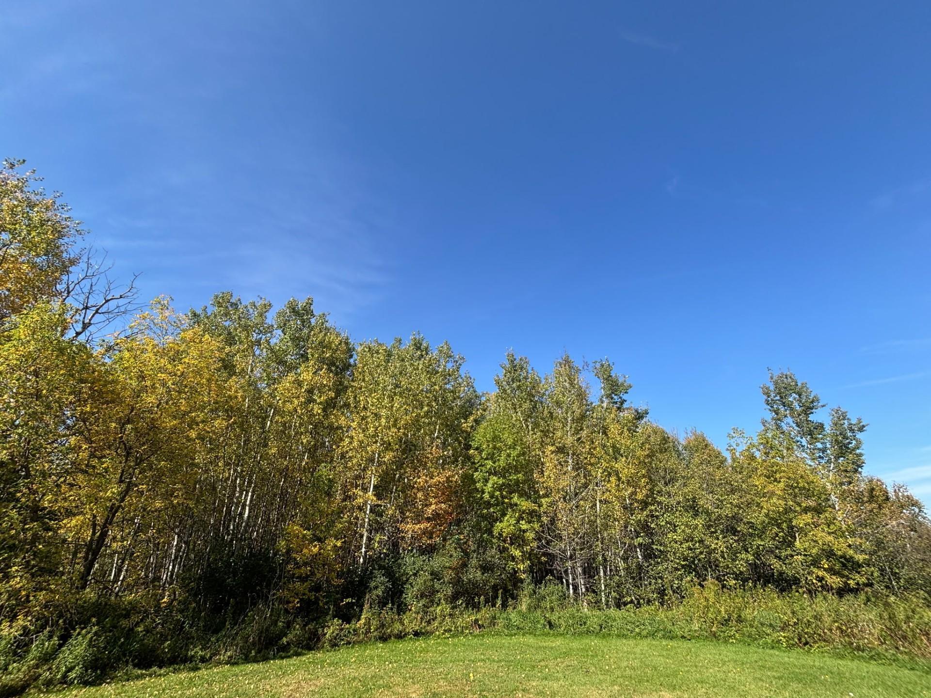 Just a few minutes to the heart of Cloquet and all it's conveniences.