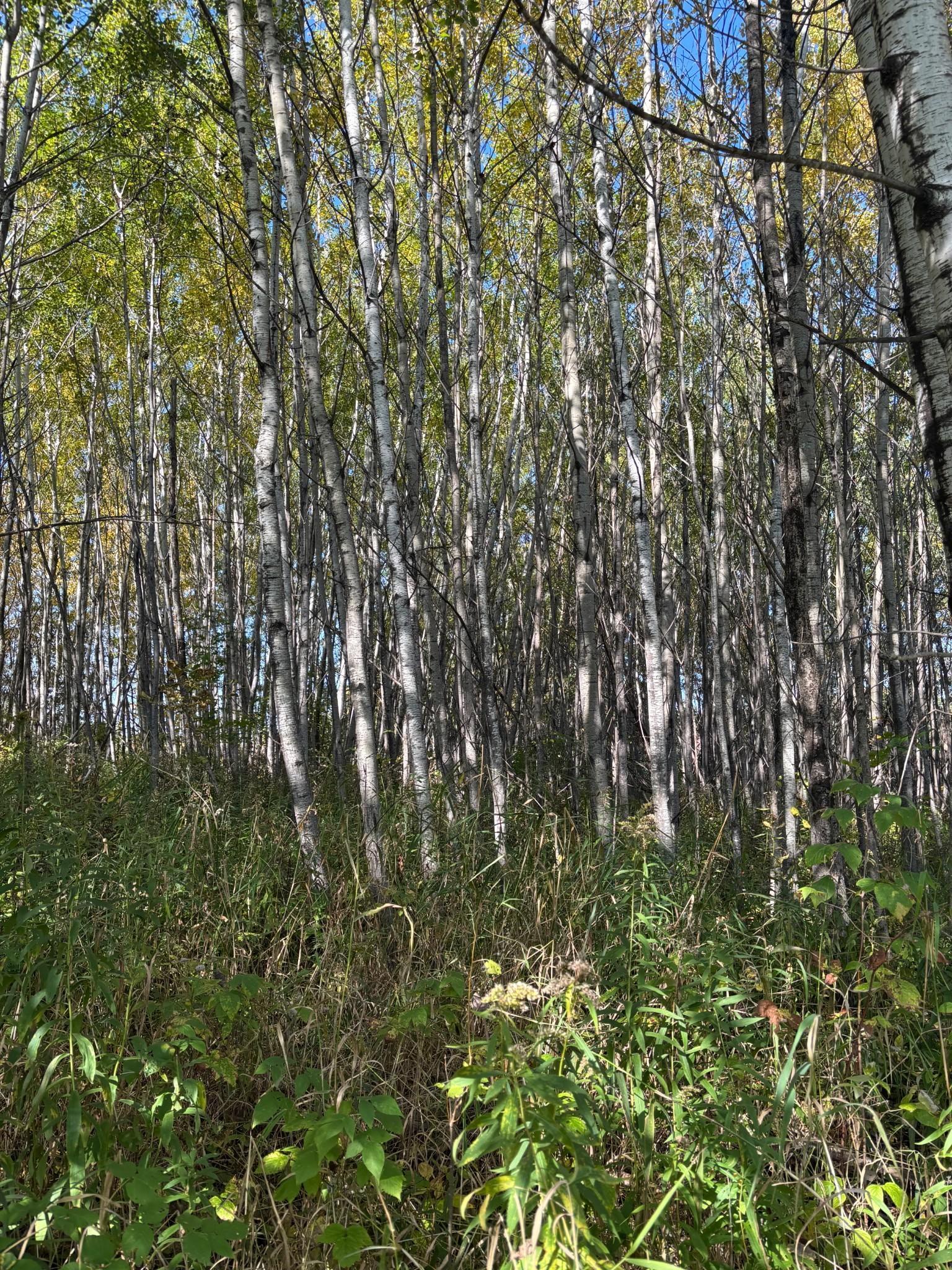 You'd never know you're so close to Hwy 33.