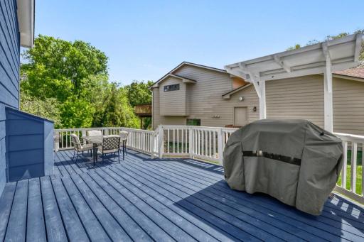 8258 169th st W - MLS Sized - 034 - 24 Exterior Rear.jpg