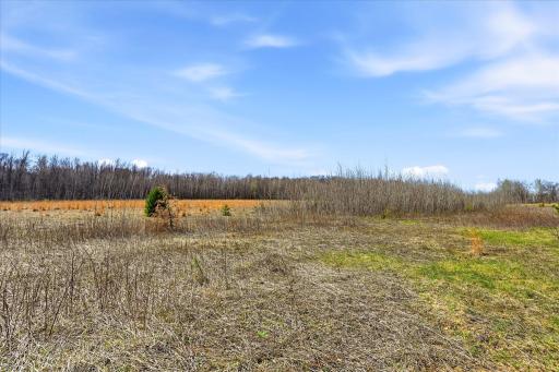 37324 Heritage Way, North Branch, MN 55056
