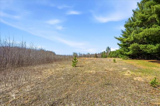 37324 Heritage Way, North Branch, MN 55056