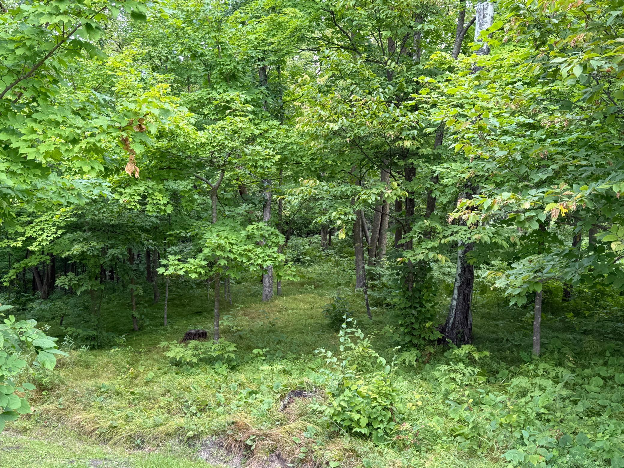 Property photo for 14888 Eaglewood Drive, Detroit Lakes, MN 56501