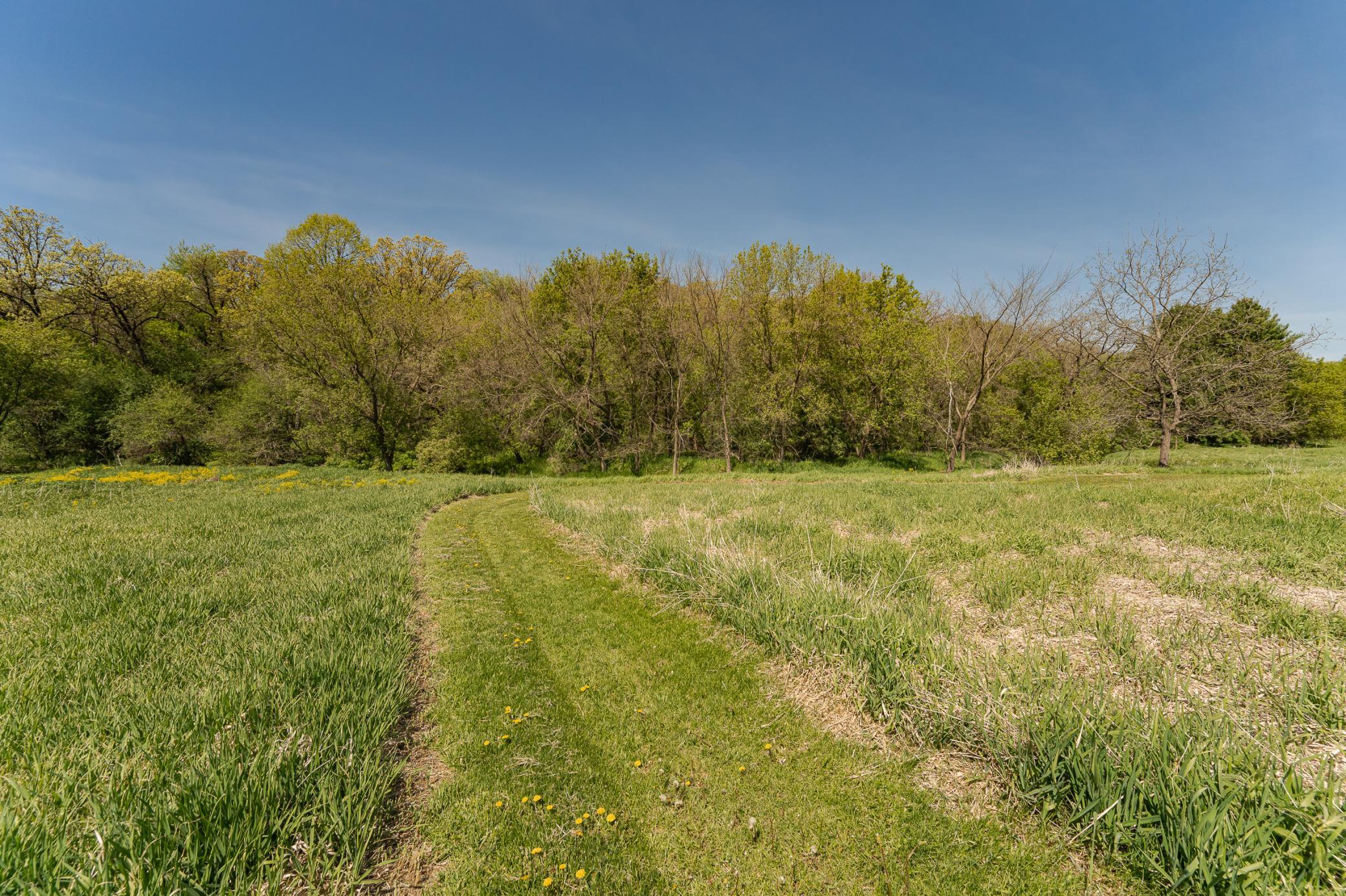 DSC_1799.jpg