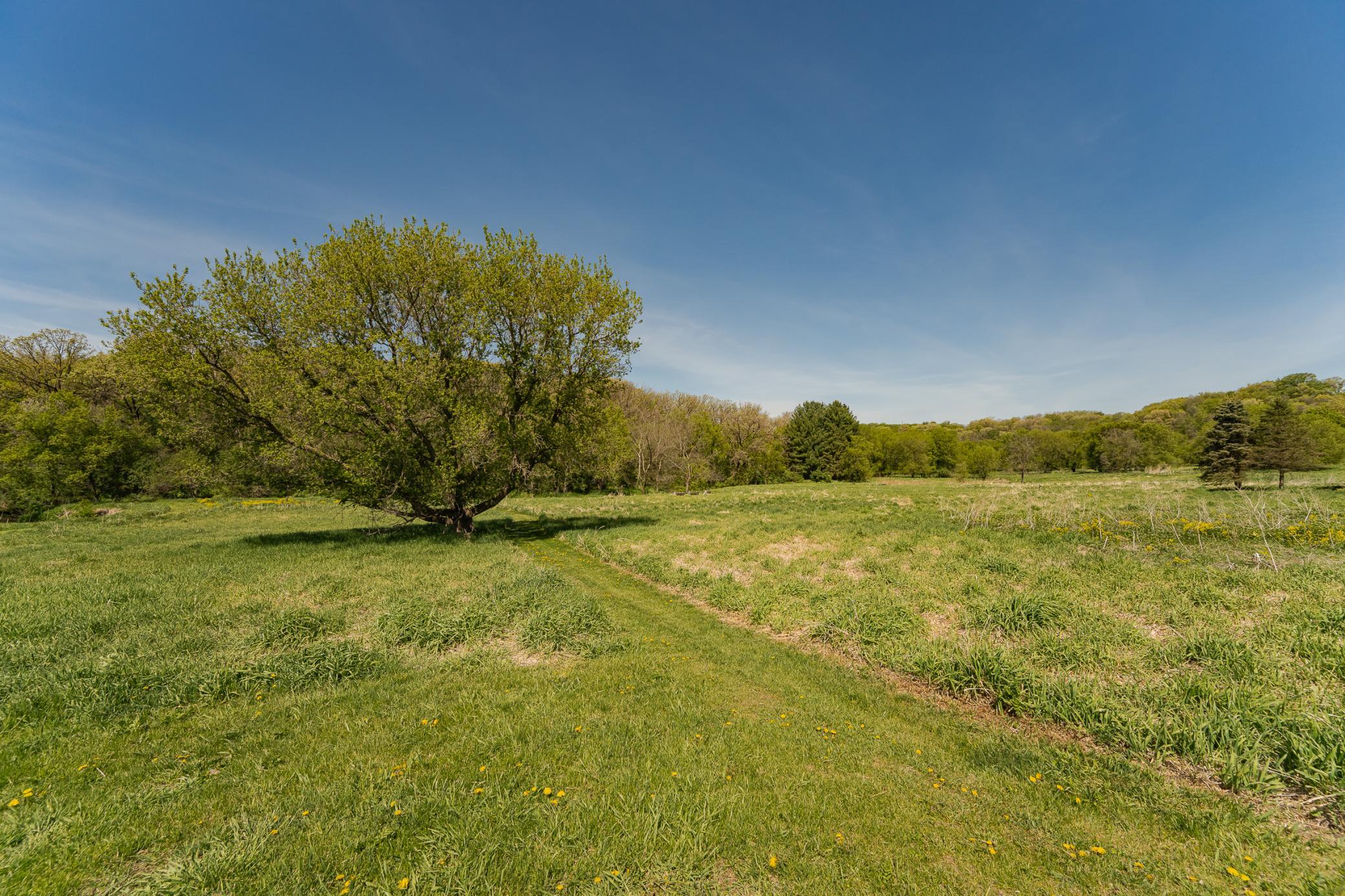 DSC_1798.jpg