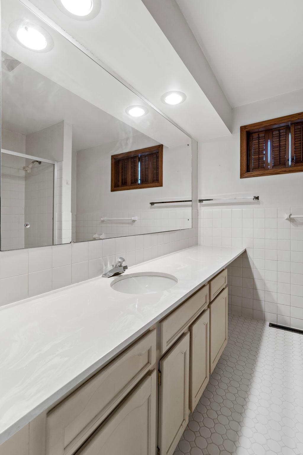 Lower level full bathroom