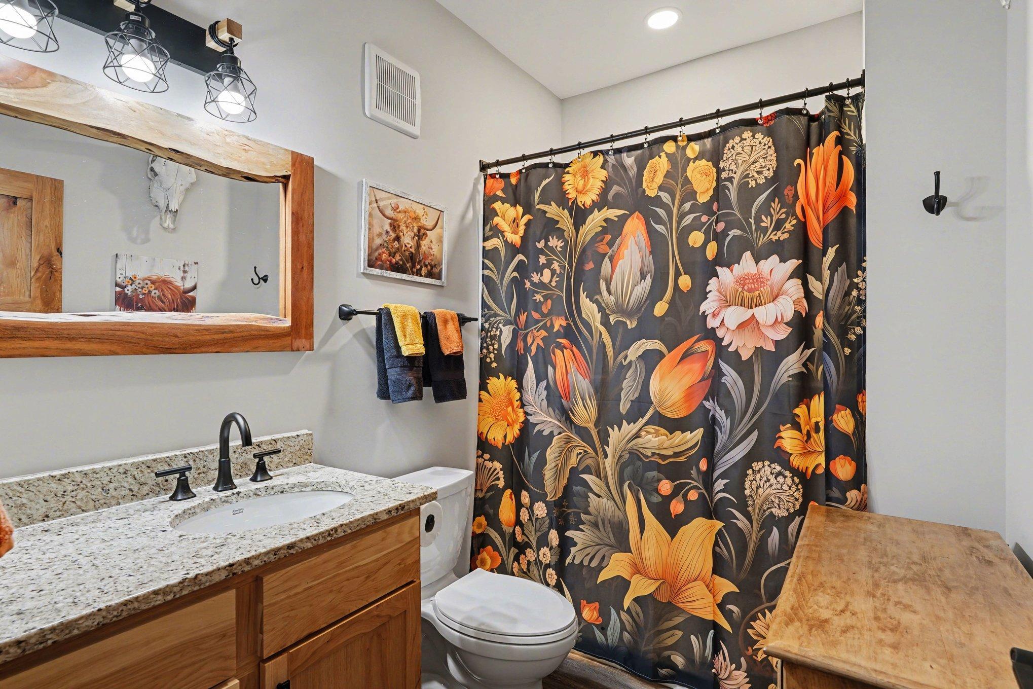 Lower level bathroom.