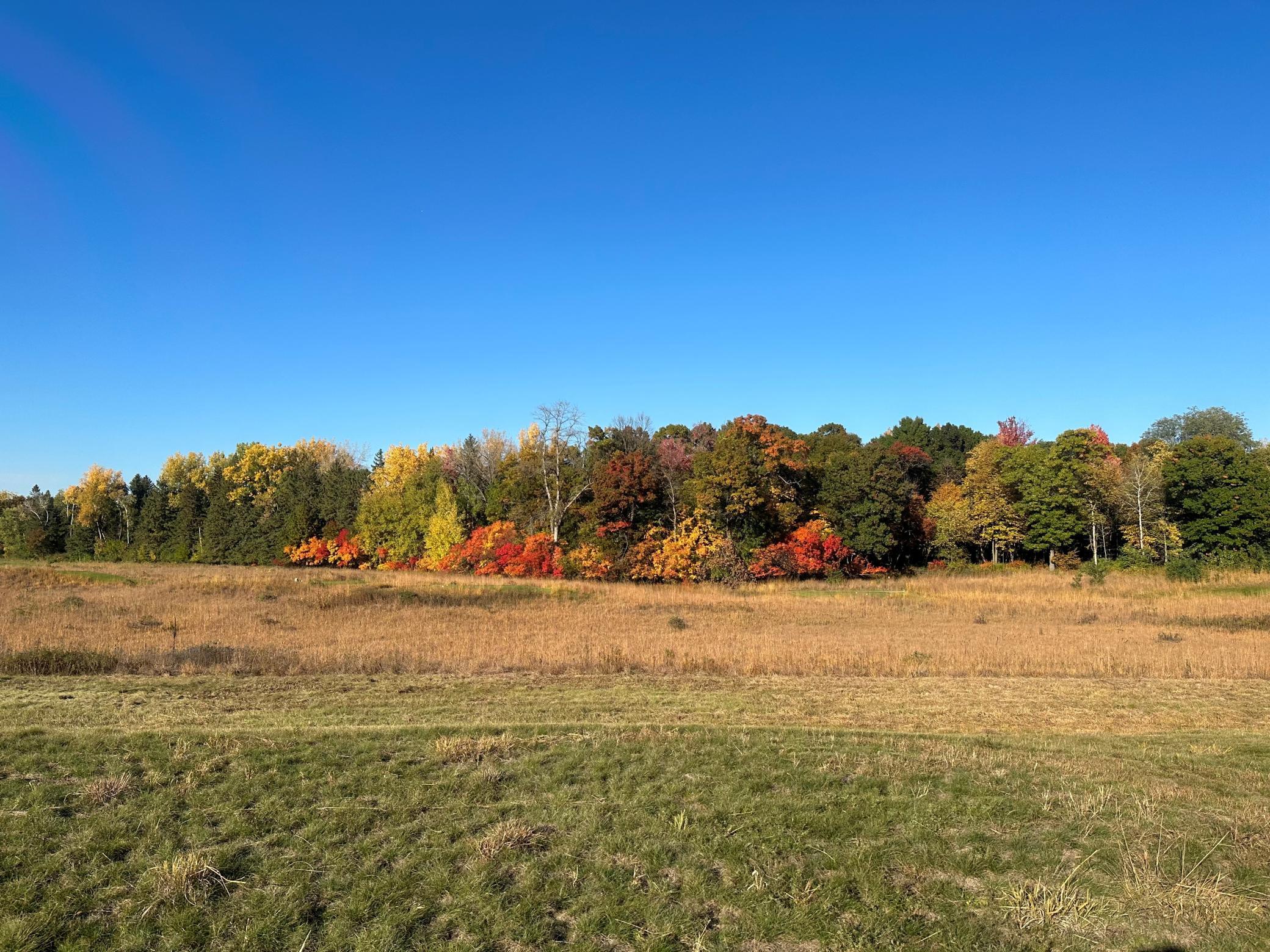 FALL BACK OF LOT