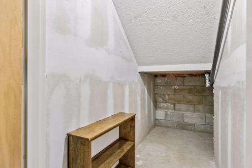 Lower level Storage Room