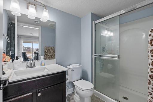 Bathroom in the basement