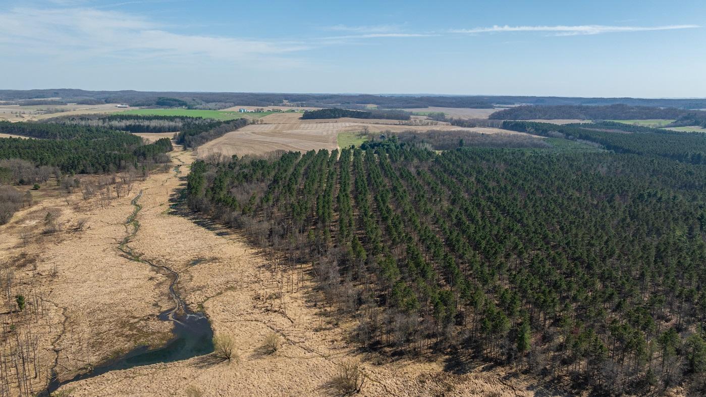 DJI_20260421160331_0788_D.jpg