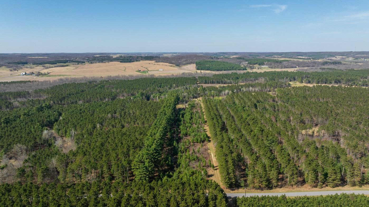DJI_20260421155634_0769_D.jpg