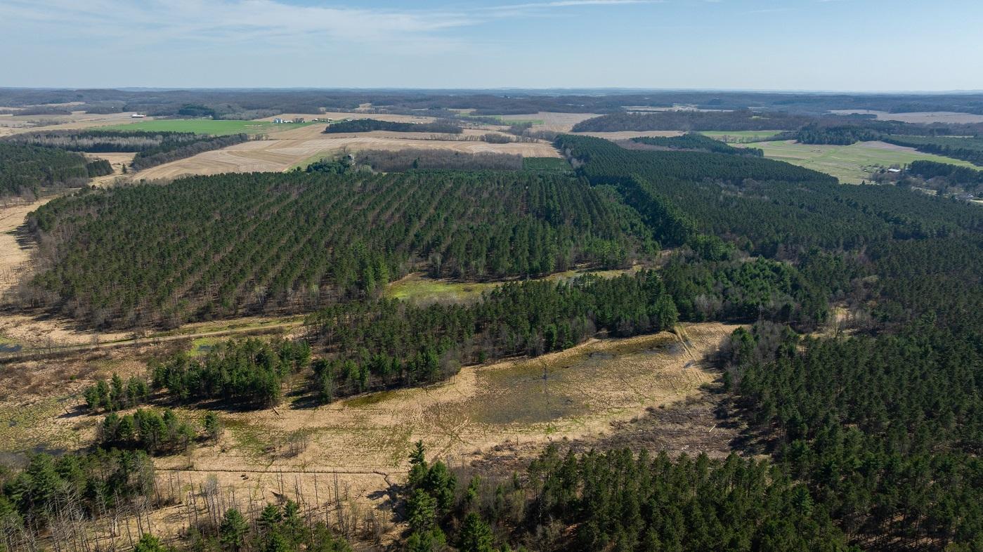 DJI_20260421160123_0781_D.jpg