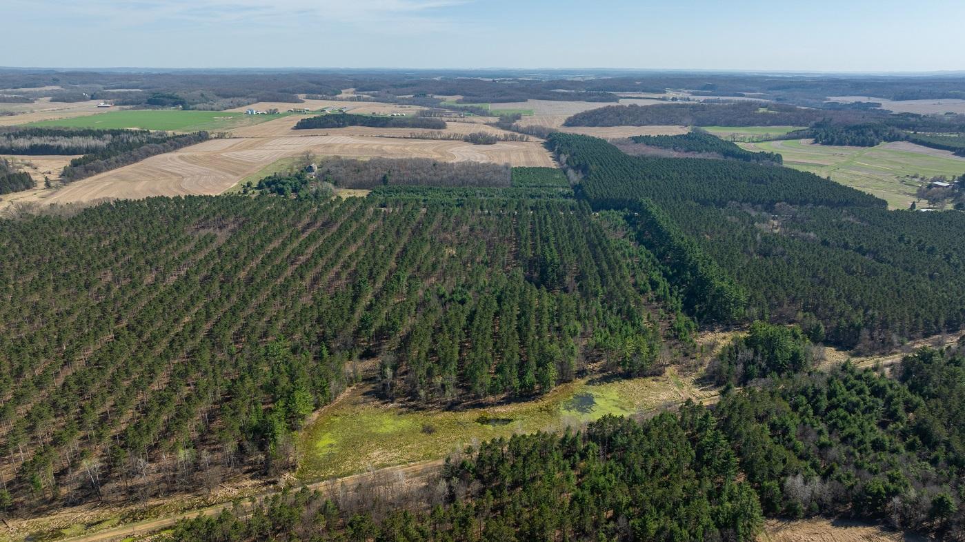 DJI_20260421160158_0783_D.jpg