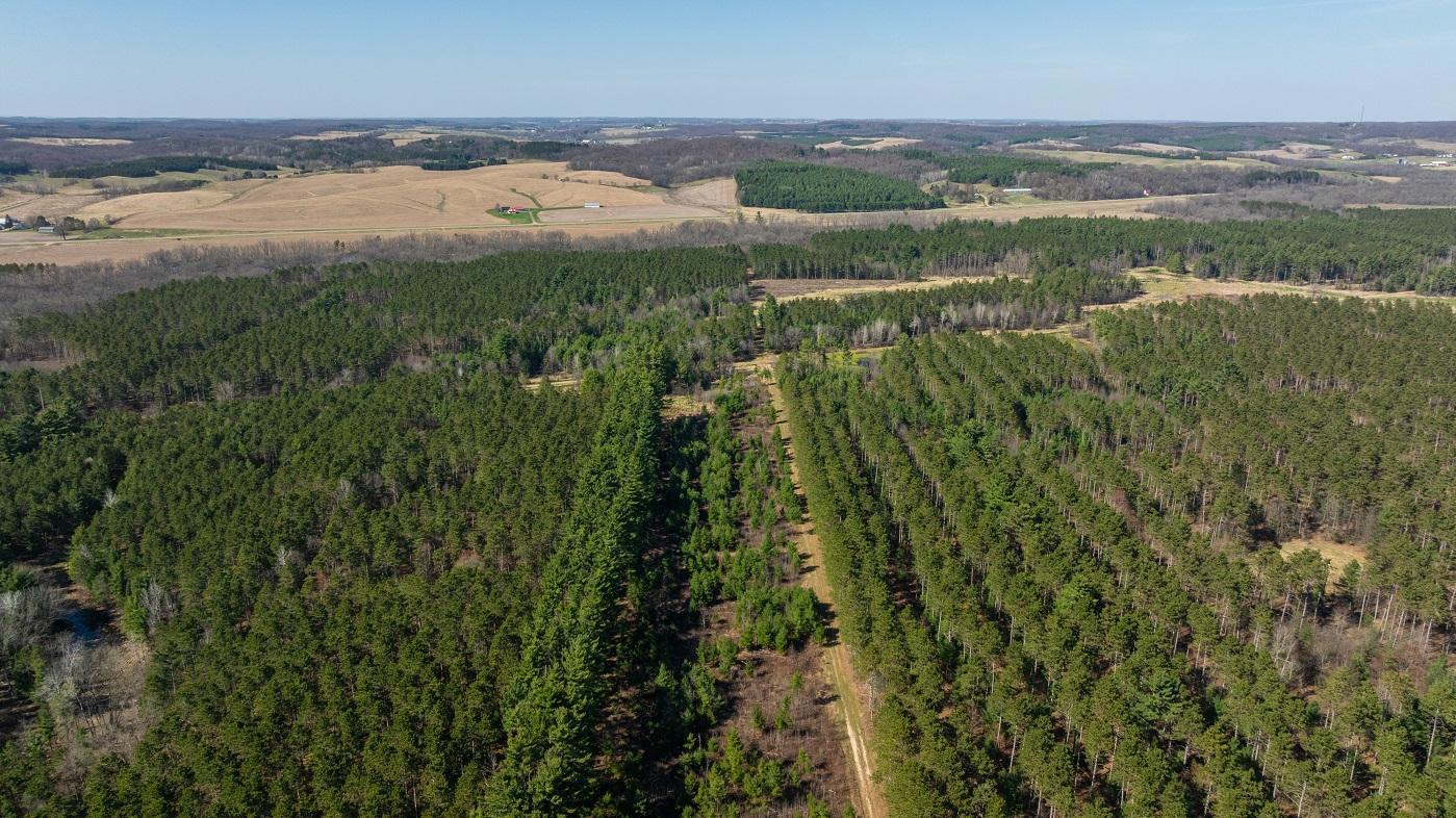 DJI_20260421160744_0800_D.jpg