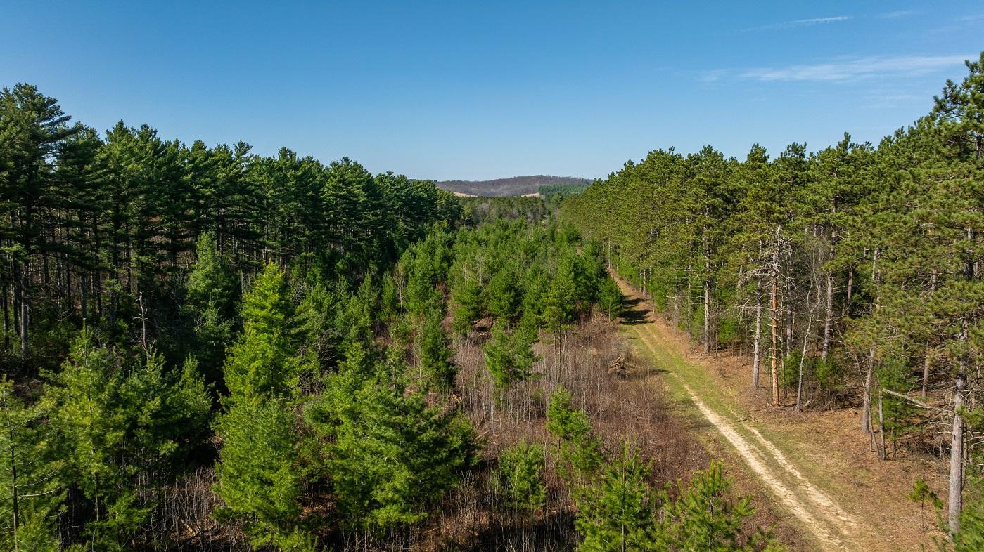 DJI_20260421160817_0801_D.jpg